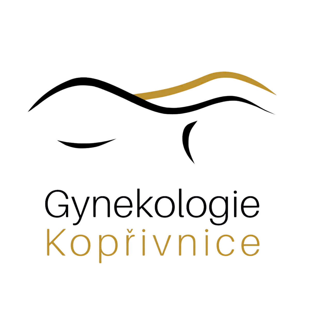 Logo Gynekologie Kopřivnice